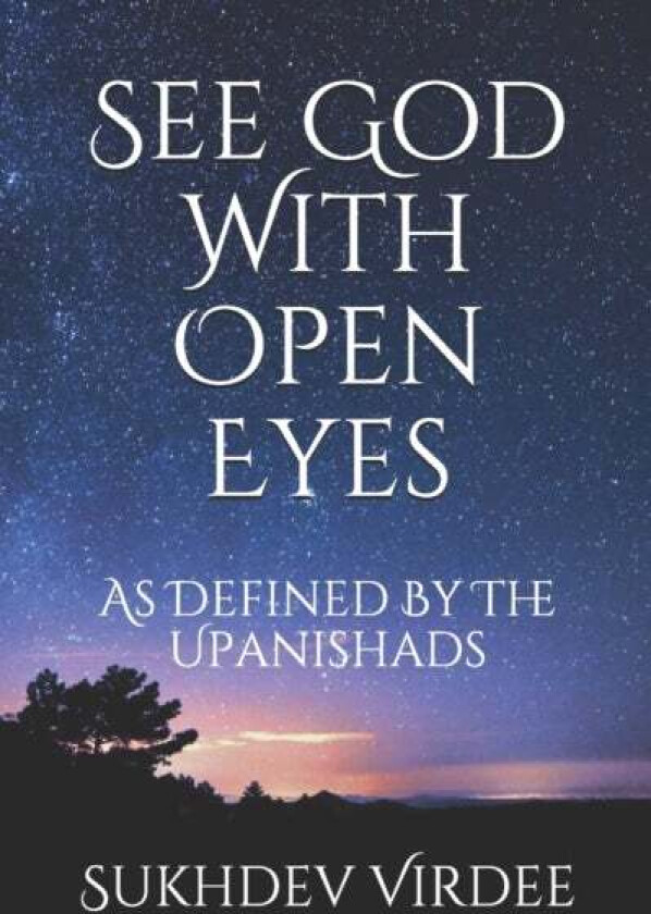 See God With Open Eyes Av Sukhdev Virdee