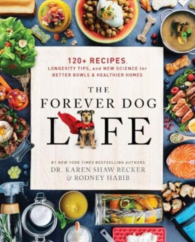 The Forever Dog Life Av Rodney Habib, Karen Shaw Becker