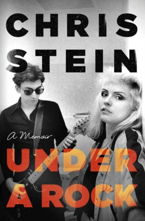 Under A Rock Av Chris Stein