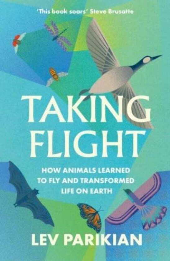 Taking Flight Av Lev Parikian