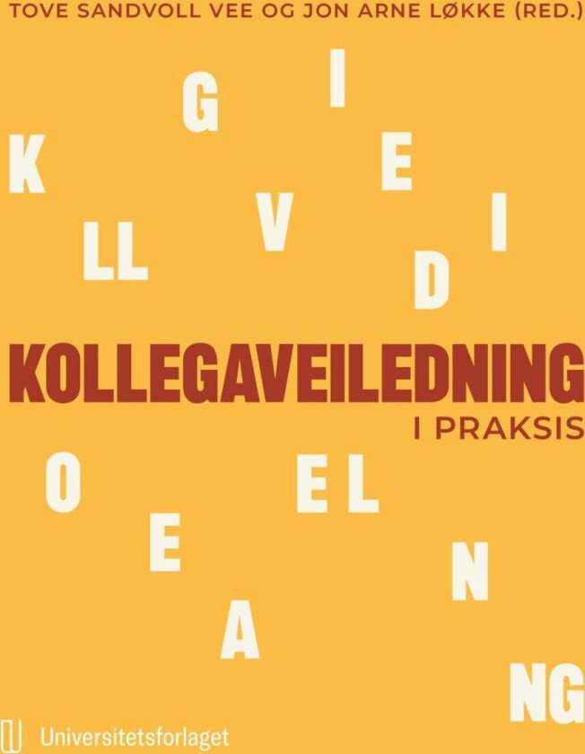 Kollegaveiledning I Praksis