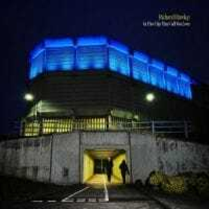 Richard Hawley - In This City They Call You Lov