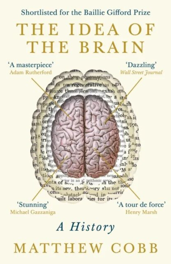 The Idea of the Brain av Professor Matthew Cobb