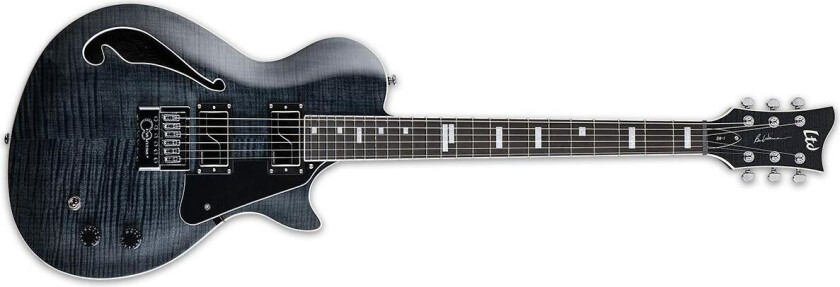 Ltd Bw-1 Evertune Flame Maple, See Thru Black, Fishman