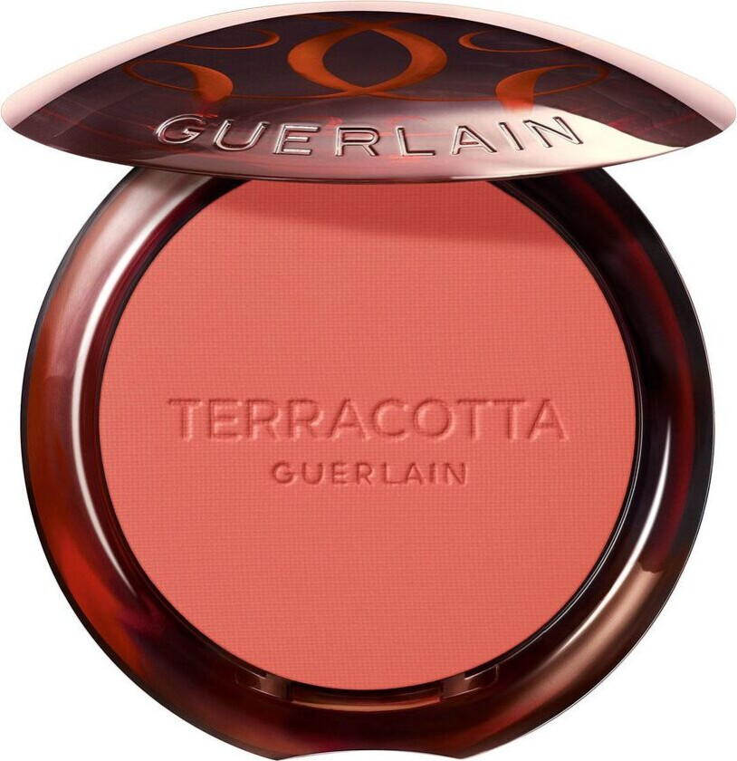 Terracotta Blush 05 5g