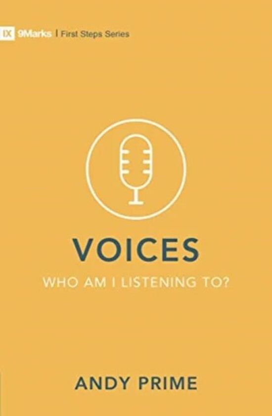 Voices ¿ Who am I listening to? av Andy Prime