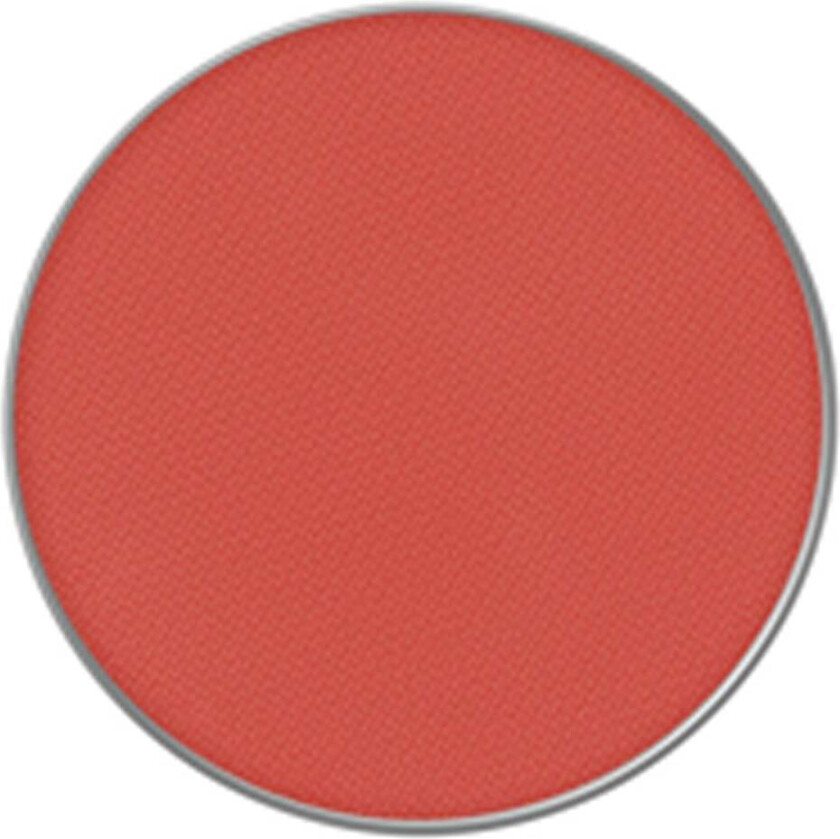 Powder Kiss Eye Shadow Pro Pale 1.5 g