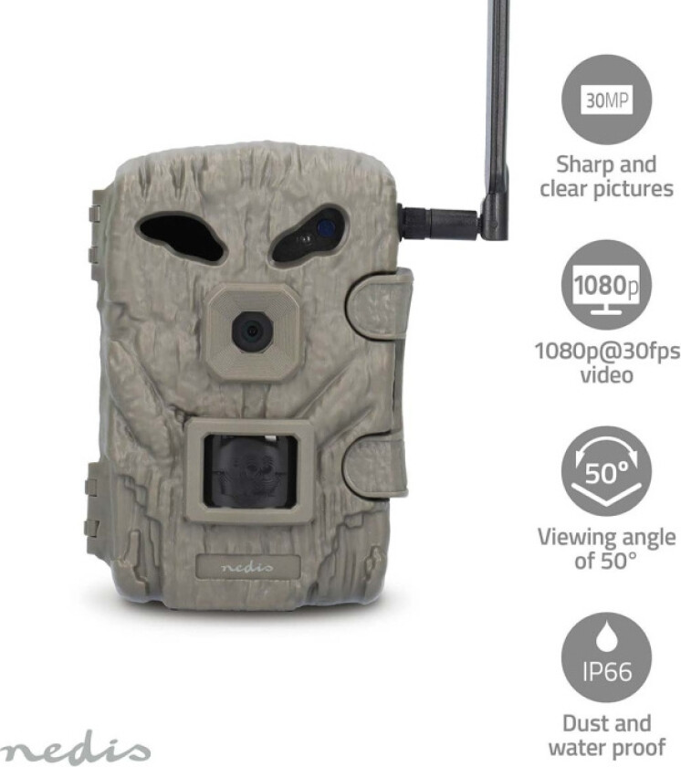 Bilde av Wildlife Kamera   1080p@30fps   30.0 MPixel   2 MPixel CMOS   IP66   4G   Svart No-Glow IR   Nattsyn   Betraktningsvinkel: 50 °   Bevegelsessensor   D