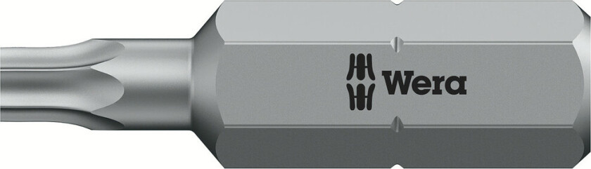 05066500001, 1 stykker, Torx, TX 10, 25 mm, 5 g, 25,4 / 4 mm (1 / 4")