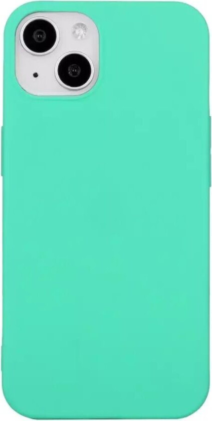 iPhone 15 Matt Deksel - Turkis