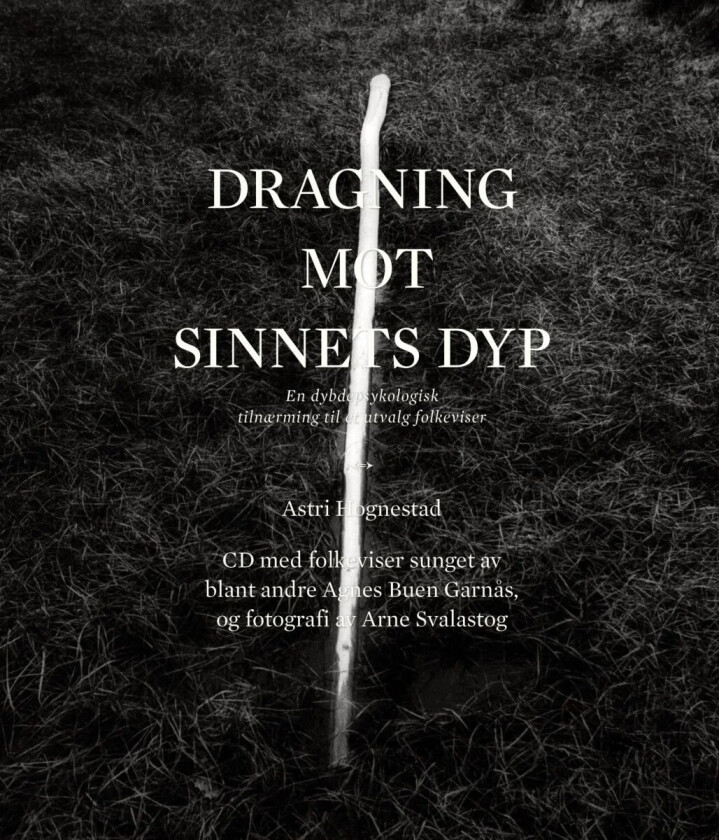 Dragning mot sinnets dyp av Astri Hognestad