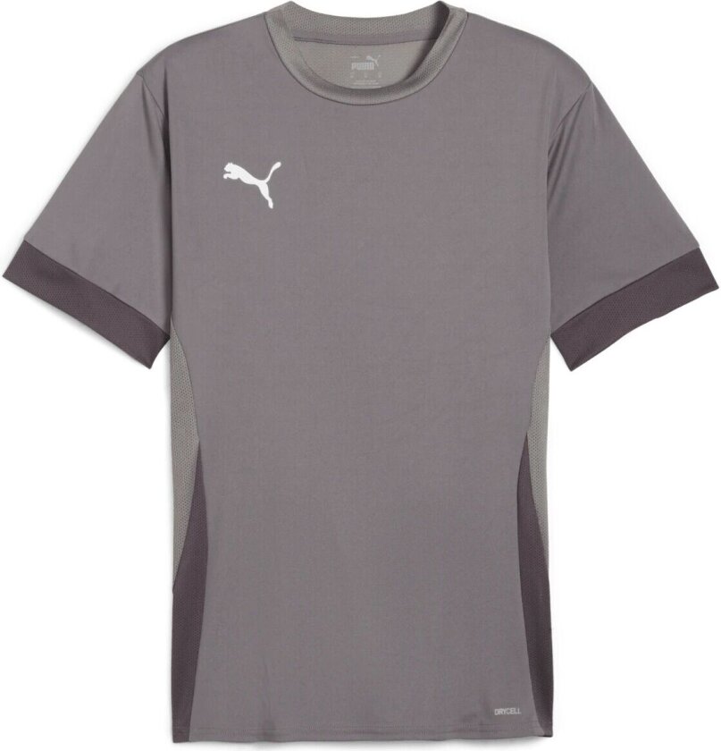 teamGOAL Matchday Jersey, fotballtrøye, herre Cast Iron-PUMA White