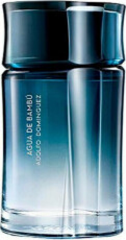 Herre parfyme Agua de Bambú Man Adolfo Dominguez EDT (120 ml) (120 ml)