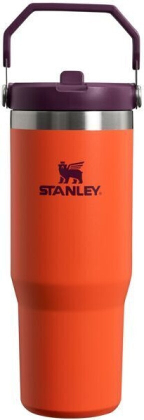 Stanley The IceFlow Flip Straw Tumbler, orange, 890 ml