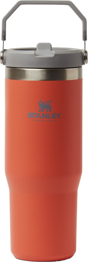 Stanley The IceFlow Flip Straw Tumbler thermos flask, guava, 890 ml