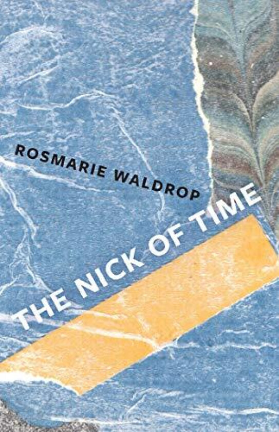 The Nick Of Time Av Rosmarie Waldrop
