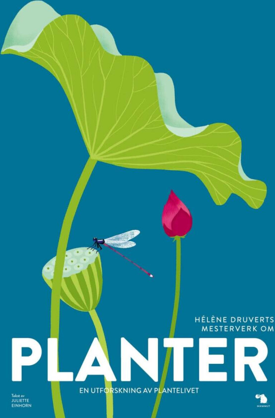 Planter Av Juliette Einhorn