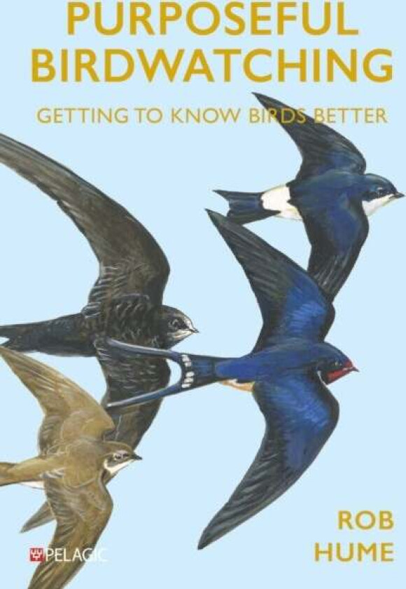 Purposeful Birdwatching Av Rob Hume