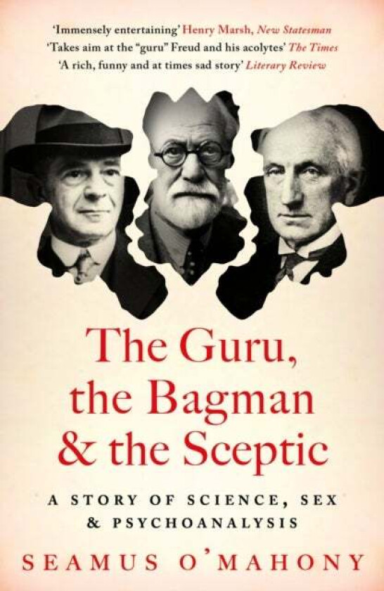 The Guru, The Bagman And The Sceptic Av Seamus O'Mahony