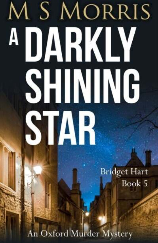 A Darkly Shining Star Av M S Morris