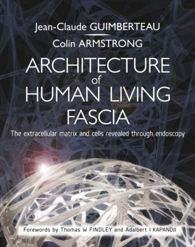 Architecture Of Human Living Fascia Av Jean Claude Guimberteau, Colin Armstrong