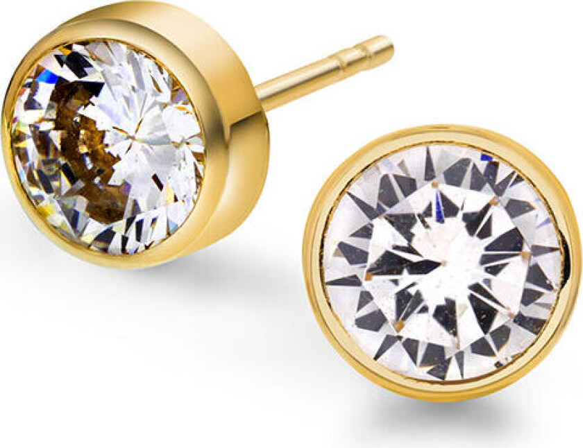 , Øredobber i 585 gult gull med zirkonia