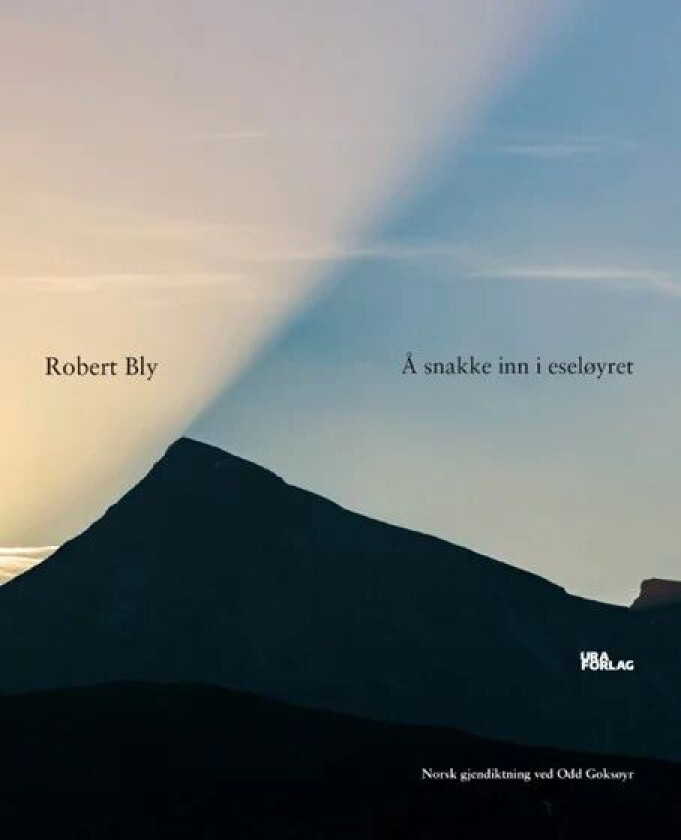 Å snakke inn i eseløyret av Robert Bly
