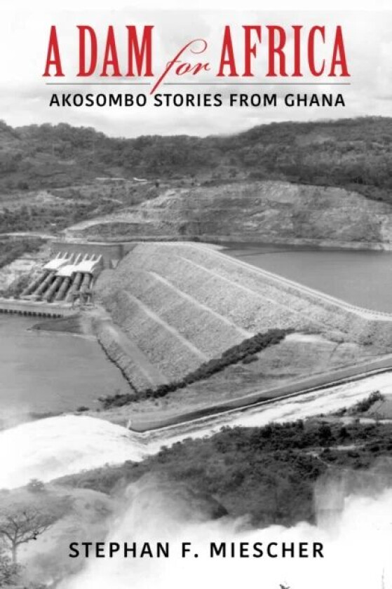 A Dam for Africa av Stephan F. Miescher
