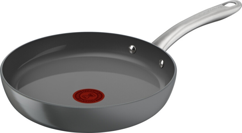 Stekepanne Tefal C4240253 Grå Aluminium Ã 20 cm