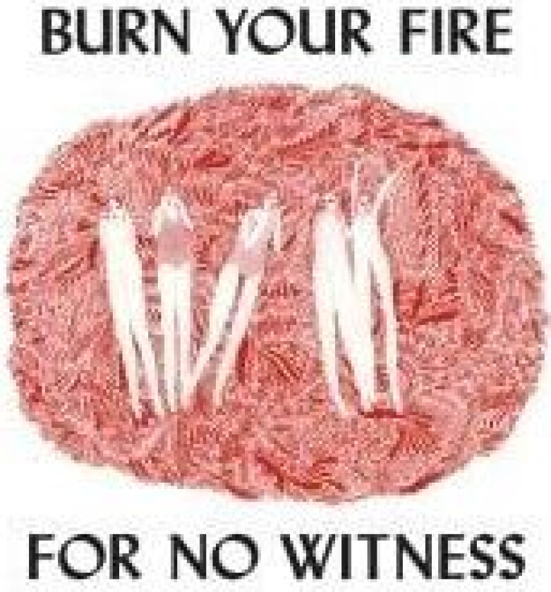 Angel Olsen : Burn Your Fire for No Witness CD (2014)