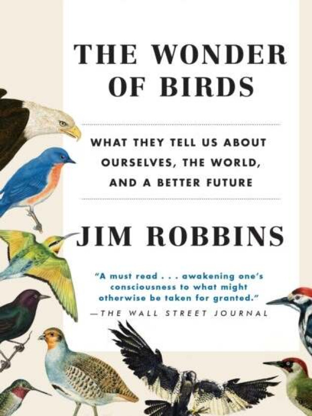 The Wonder of Birds: What They Tell Us about Ourselves, the World, and a Better Future