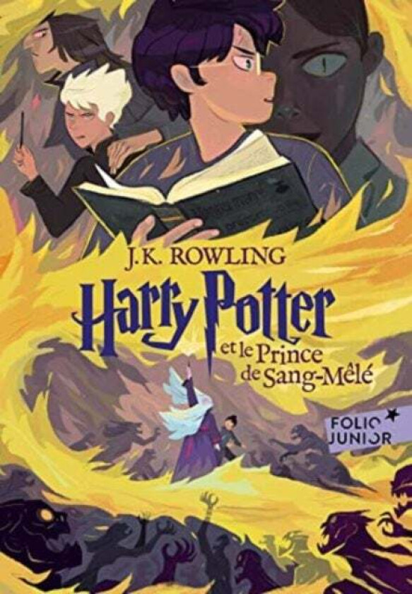 Harry Potter Et Le Prince De Sang-Mele Book 6 Av J.K.Rowling