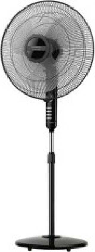 Bergen 16CR, Husholdningsvifte, Sort, Grå, Gulv, 51,46 dB, 40 cm, Knapper