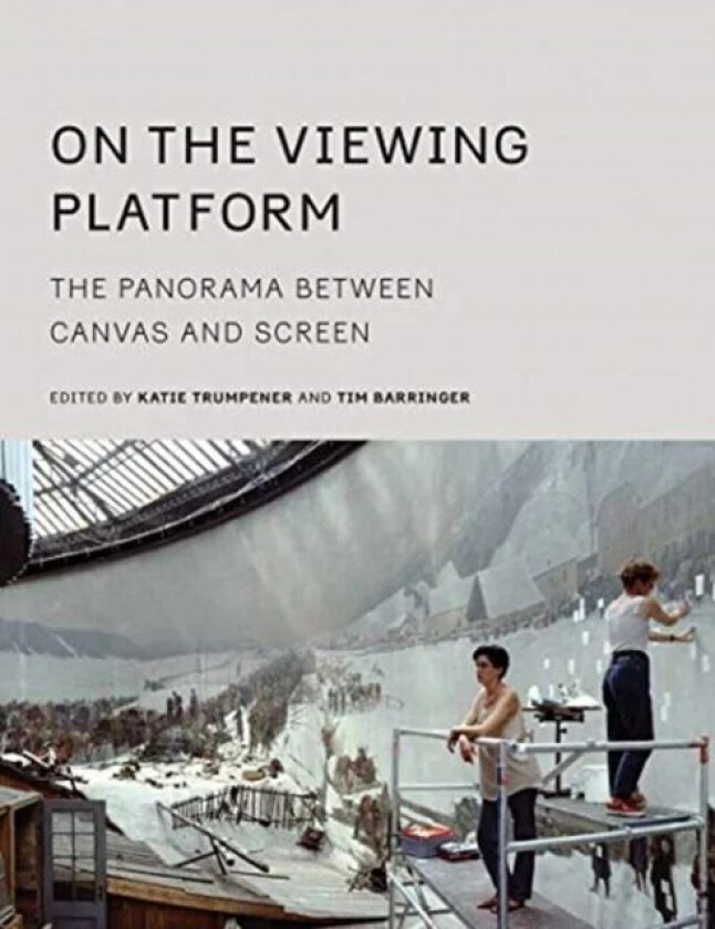 On the Viewing Platform av Katie Trumpener, Tim Barringer