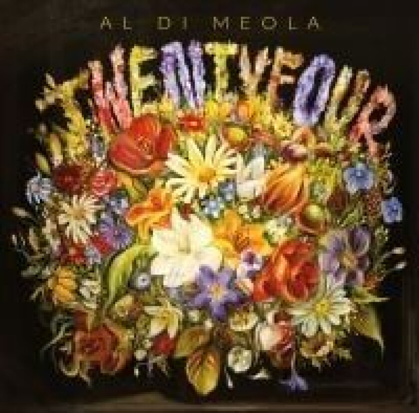 Al Di Meola - Twentyfour