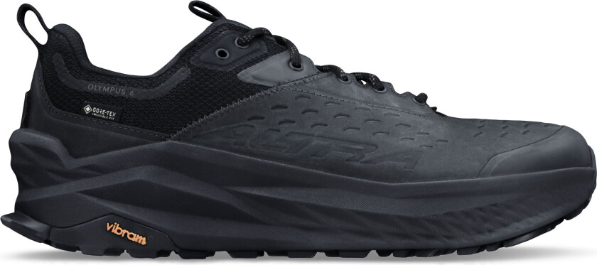 Men's Olympus 6 Hike Low GORE-TEX Black 40.5, Black