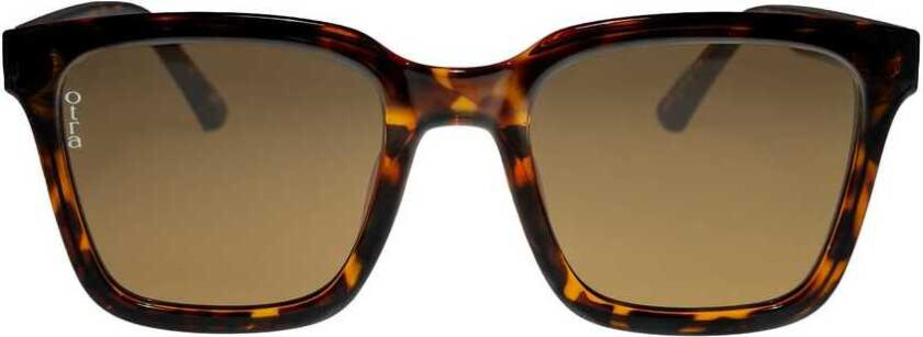 Fyn Tortoise/Brown