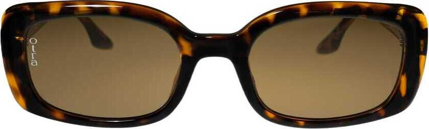 Daisy Frosted Ivory/Brown