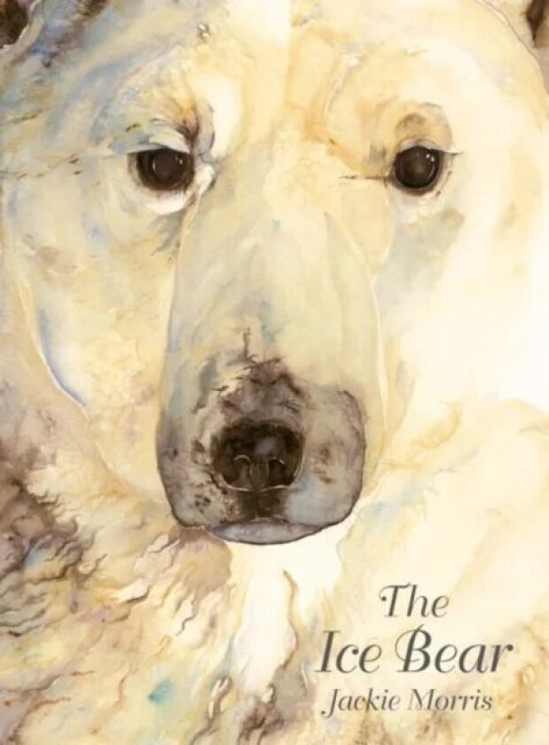 The Ice Bear av Jackie Morris