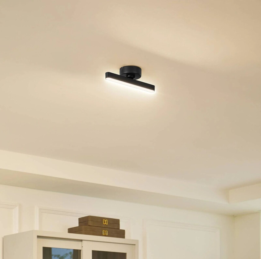 LED-taklampe Eldrin, 1-lampe, svart, jern