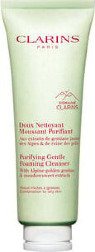 Purifying Gentle Foaming Cleanser (125 ml)