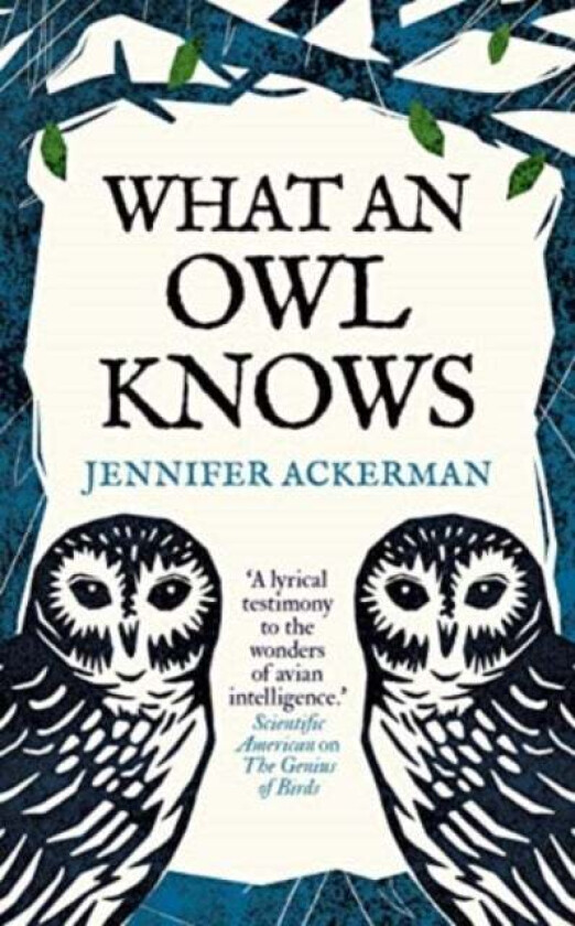 What an Owl Knows av Jennifer Ackerman
