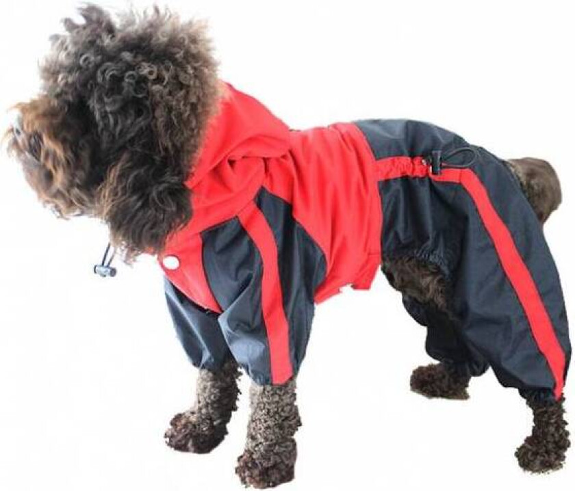 Bilde av God regndress for hund - parkdress