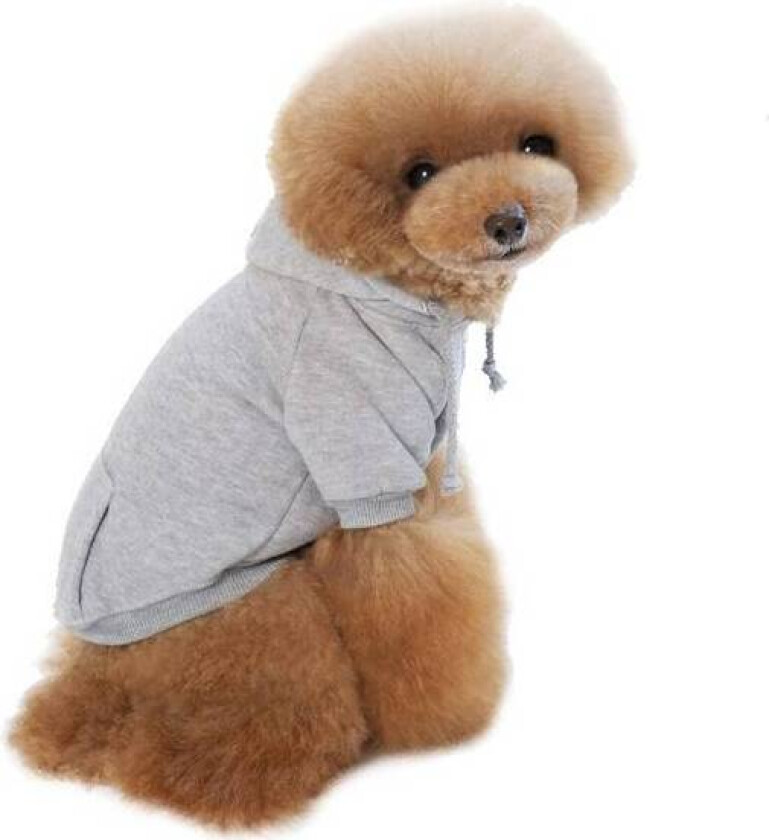 Bilde av Grå hettegenser med knapper til hund
