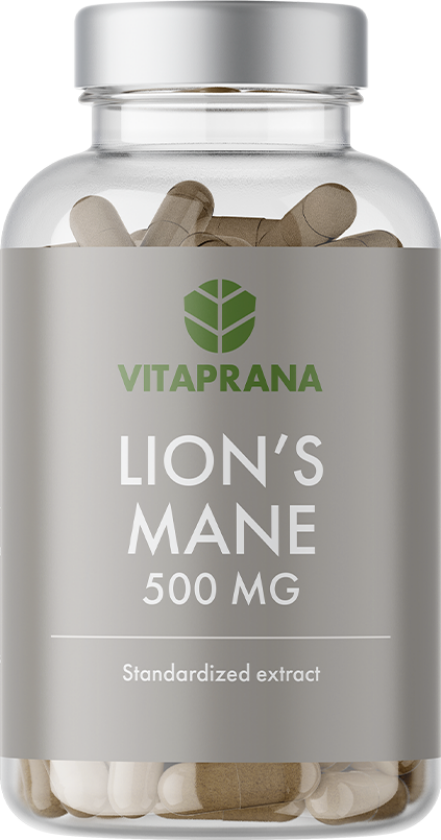 Lions Mane 500 mg 100 kapsler