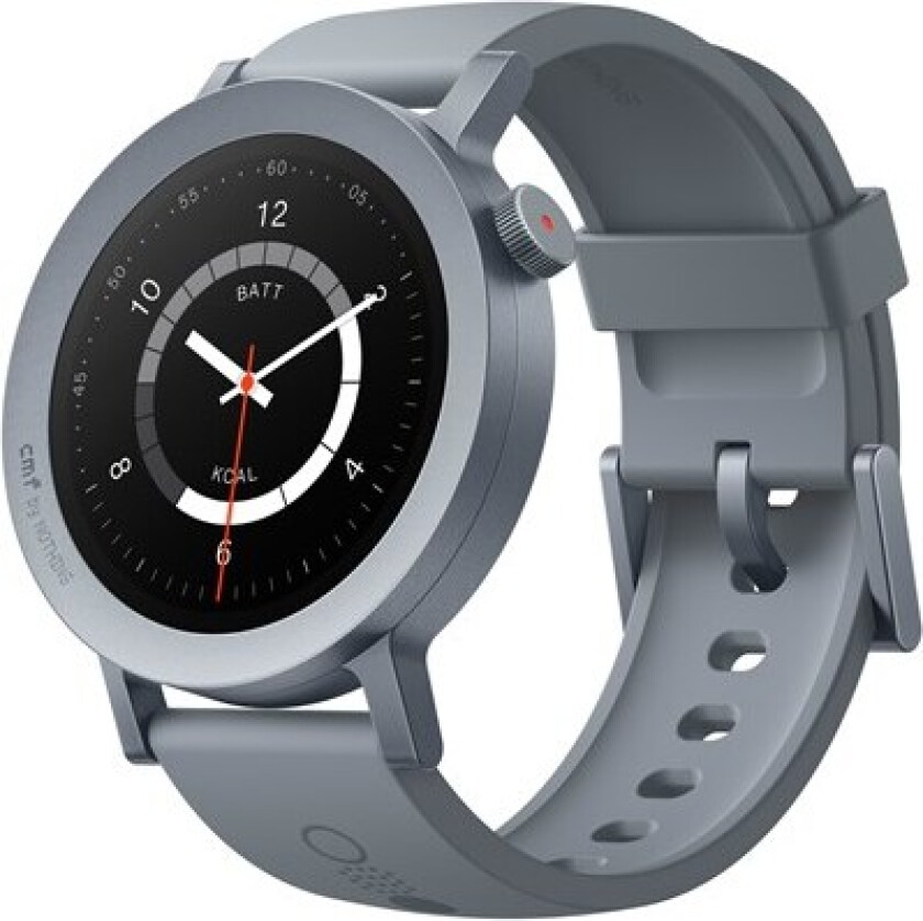 Watch Pro 2 - Ash Grey