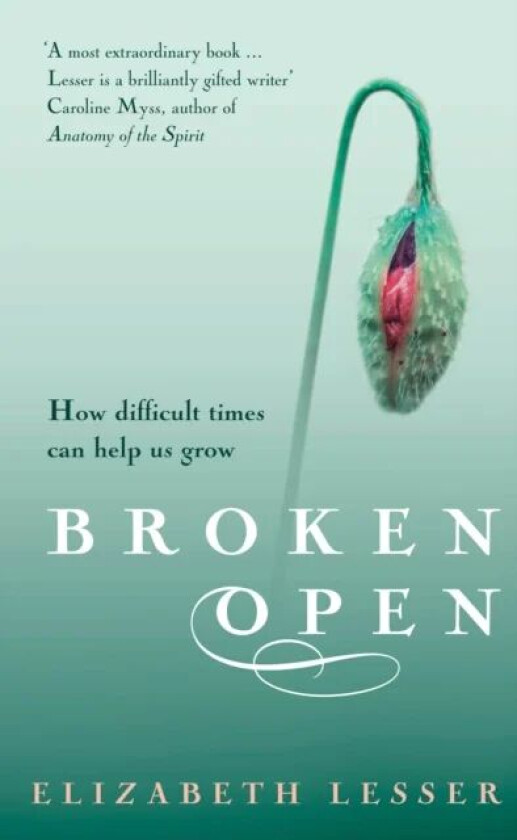 Broken Open av Elizabeth Lesser