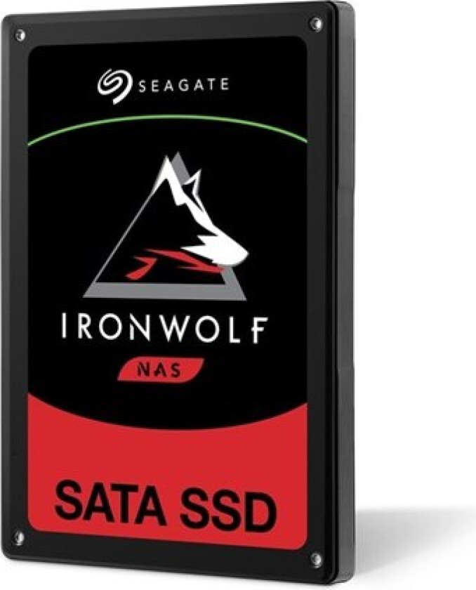 IronWolf 110 SSD - 1.92TB