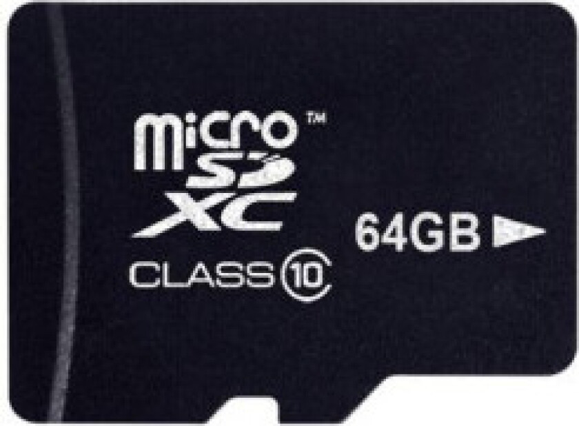 Platinum MicroSDXC 64GB CL10