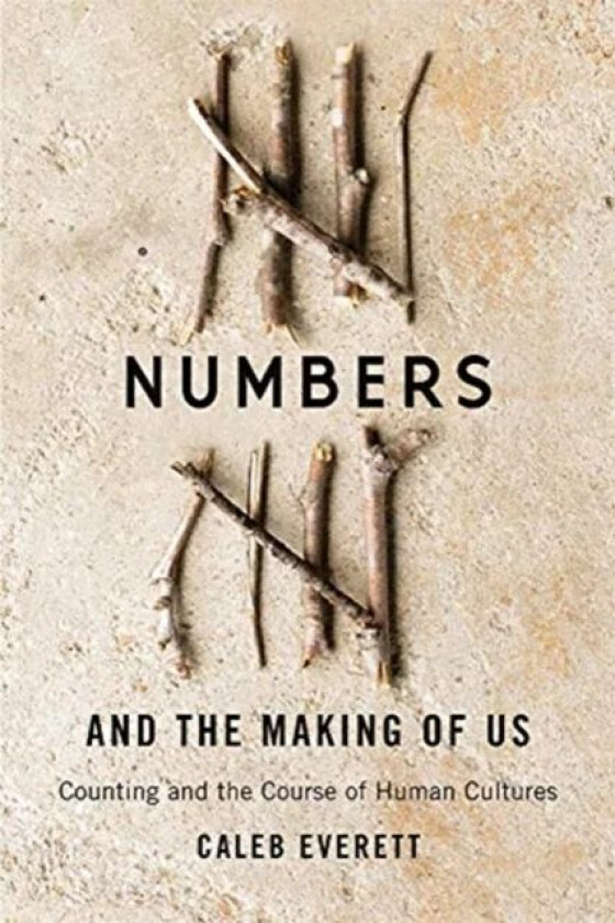 Numbers and the Making of Us av Caleb Everett